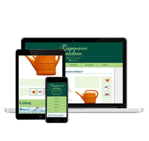 Modello asta responsive - modello,